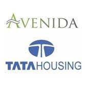 tata housing avenida