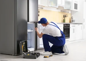 Expert Appliance Care for Every Home